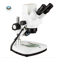 Kính hiển vi kỹ thuật số HINOTEK ZTX-3S-C3